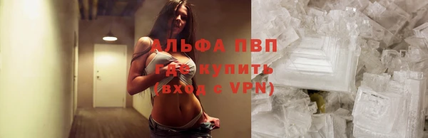 spice Баксан