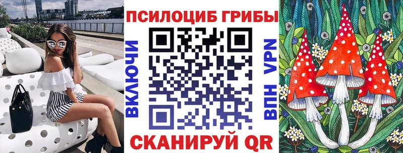 omg ССЫЛКА  Ульяновск  Псилоцибиновые грибы GOLDEN TEACHER  где купить  