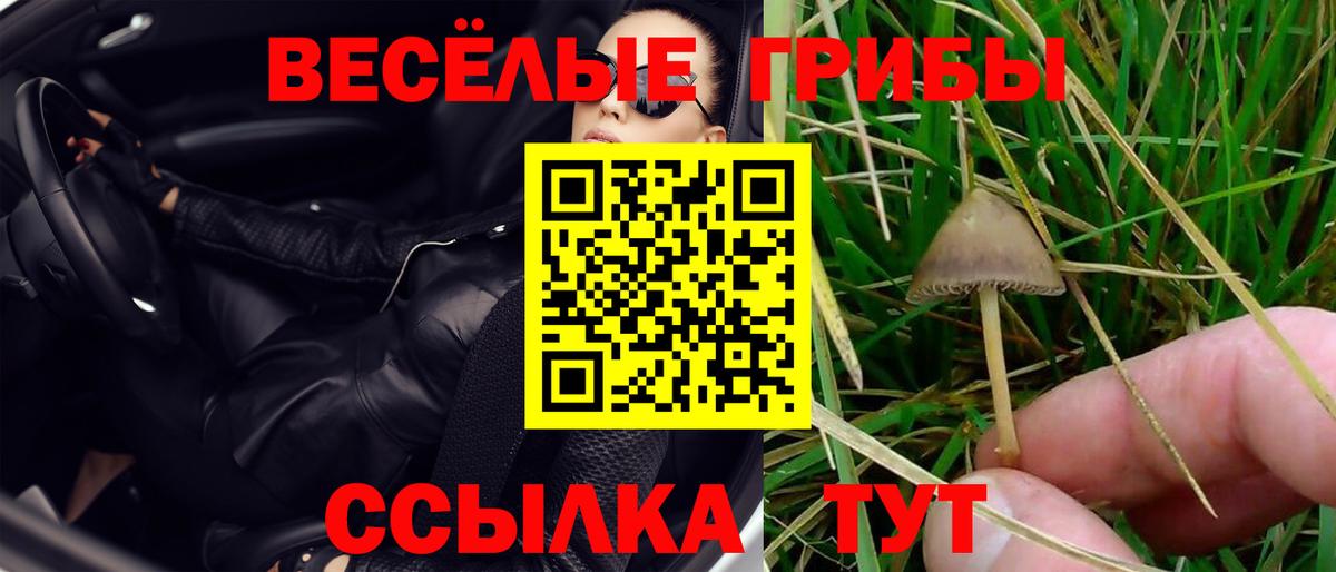 Галлюциногенные грибы прущие грибы Ульяновск