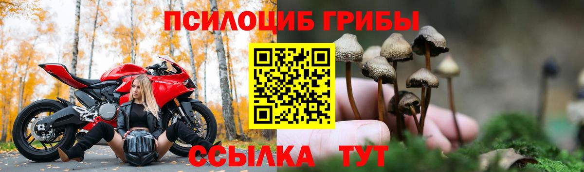 Ульяновск  наркотики  Вход с VPN  Галлюциногенные грибы Magic Shrooms 